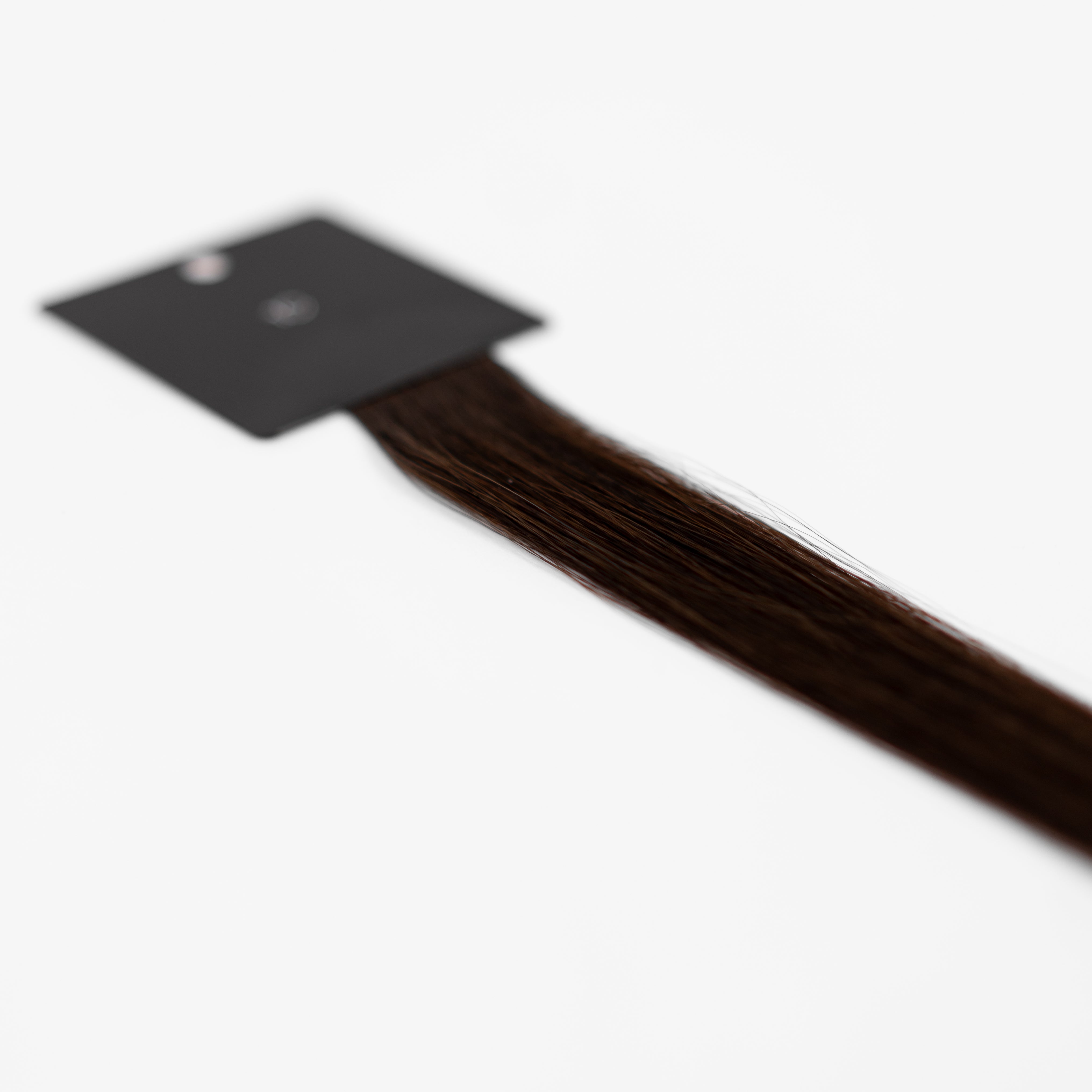 Bello Haven Swatch (Individual) - #1C