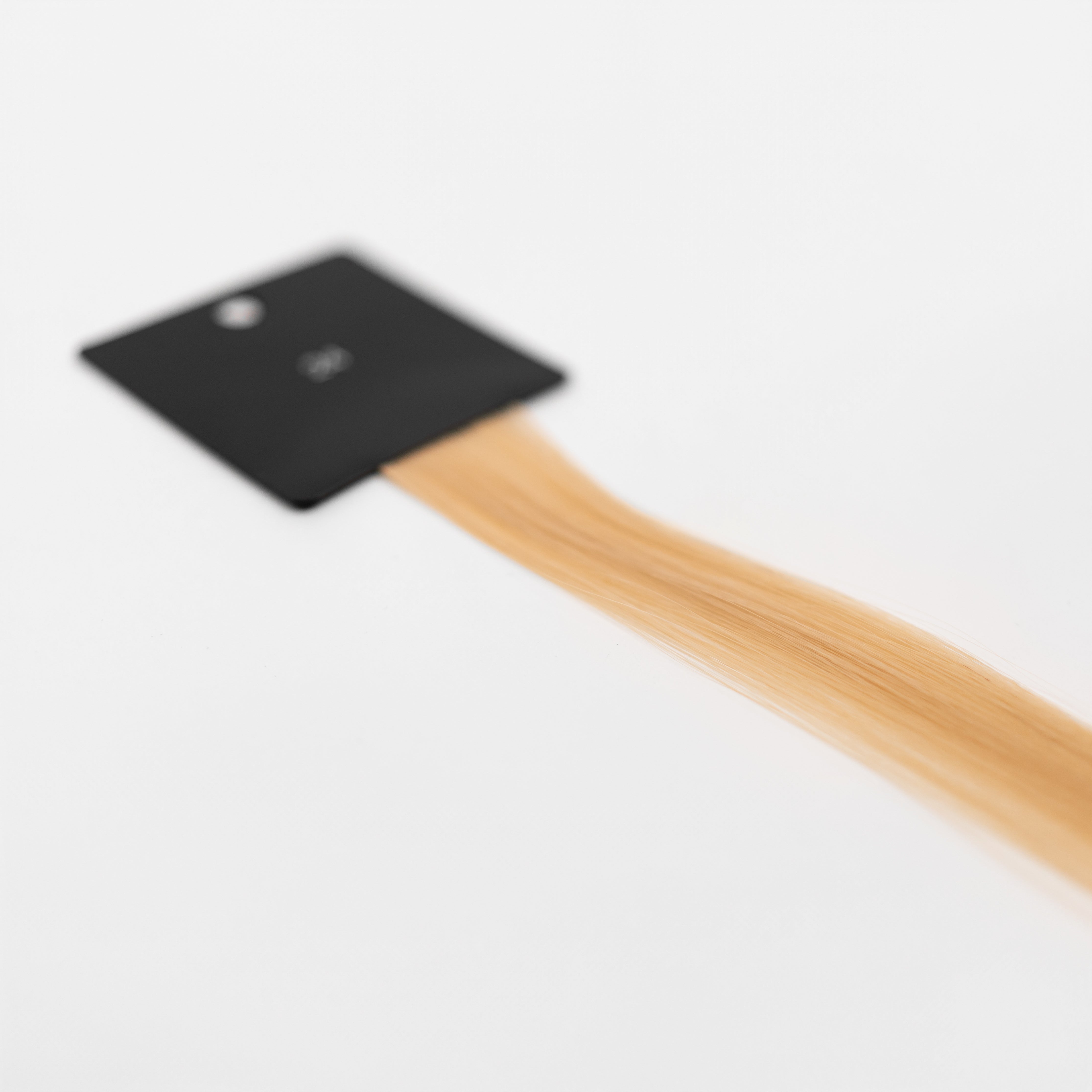 Bello Haven Swatch (Individual) - #24