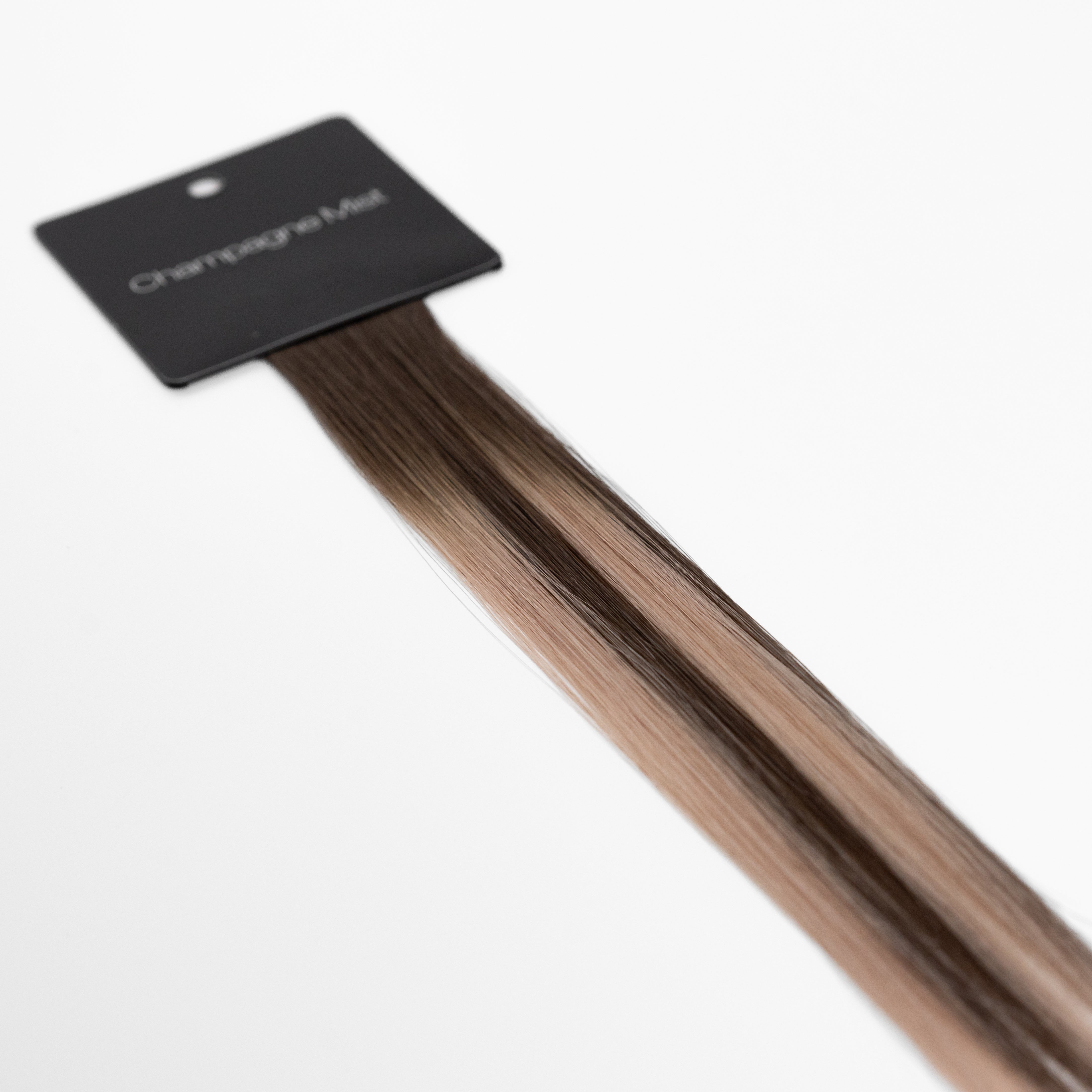 Bello Haven Swatch (Individual) - Champagne Mist