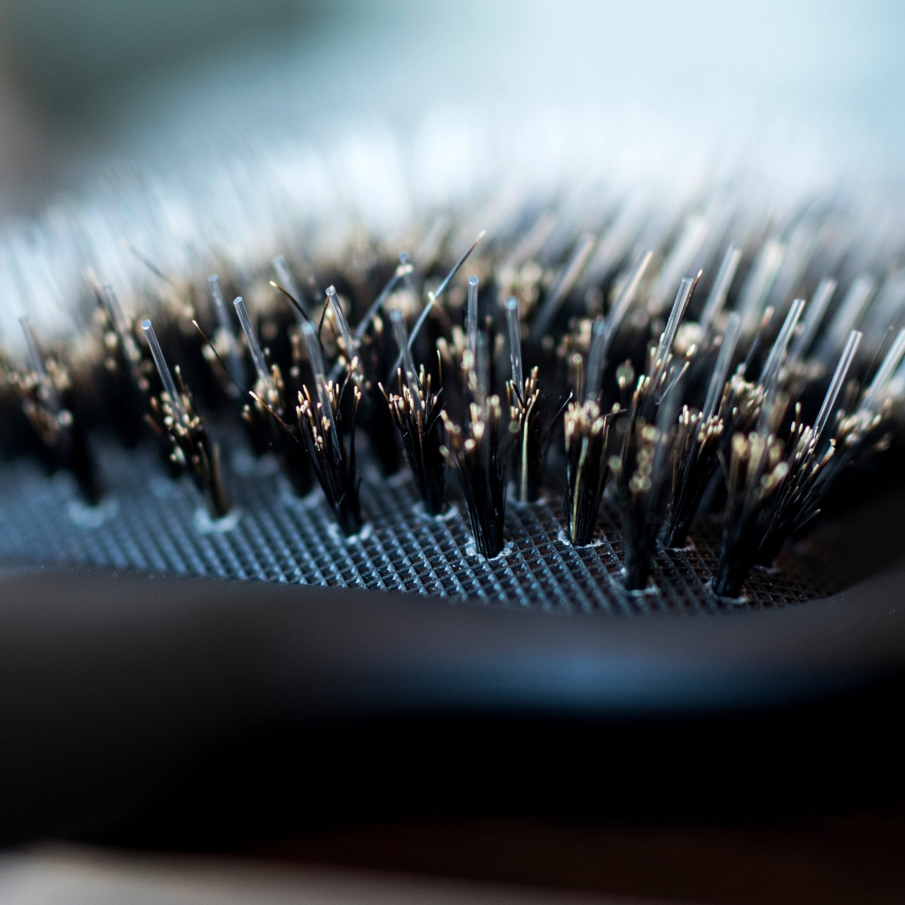 Bello Haven Dry Brush - BULK ORDER (15)