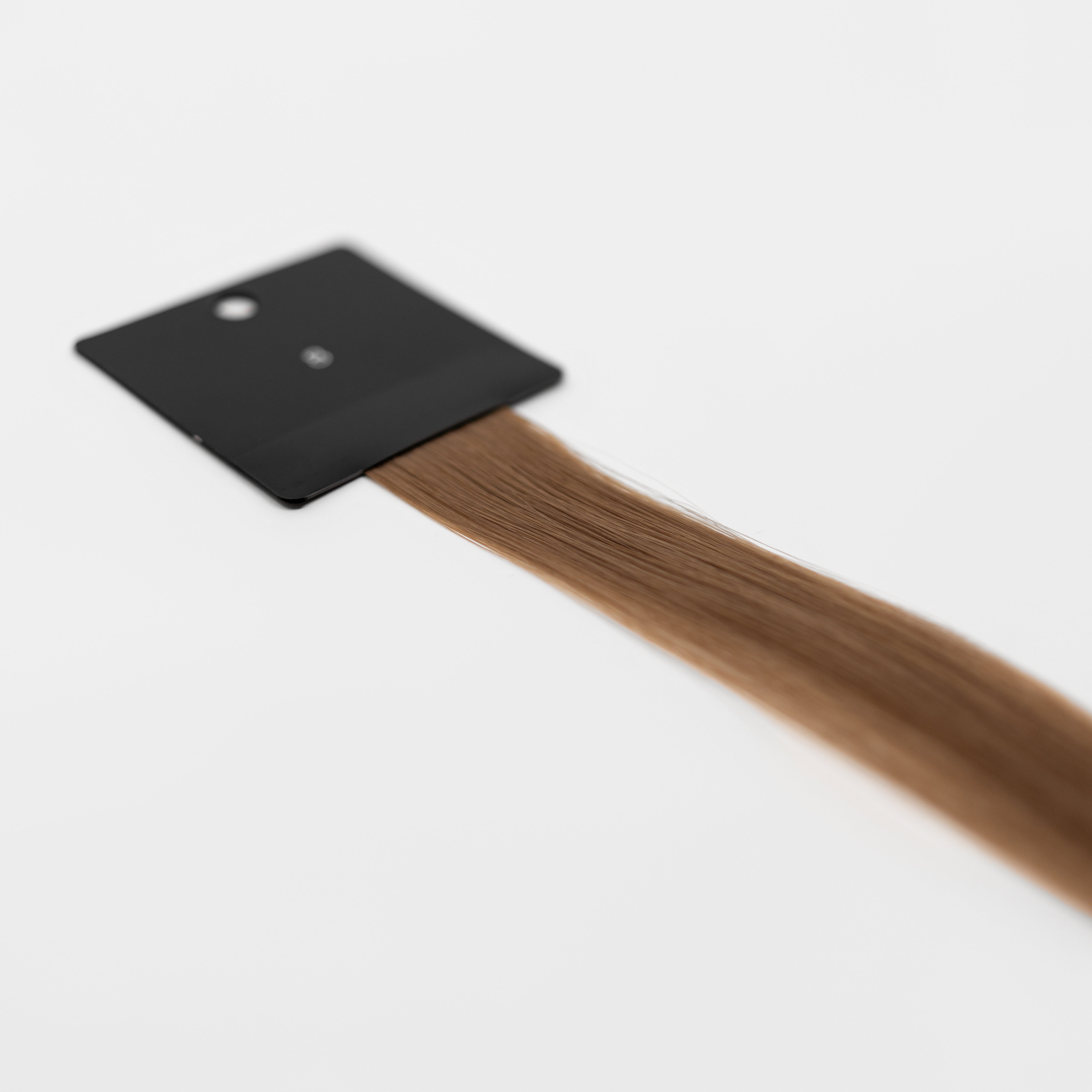 Bello Haven Swatch (Individual) - #8