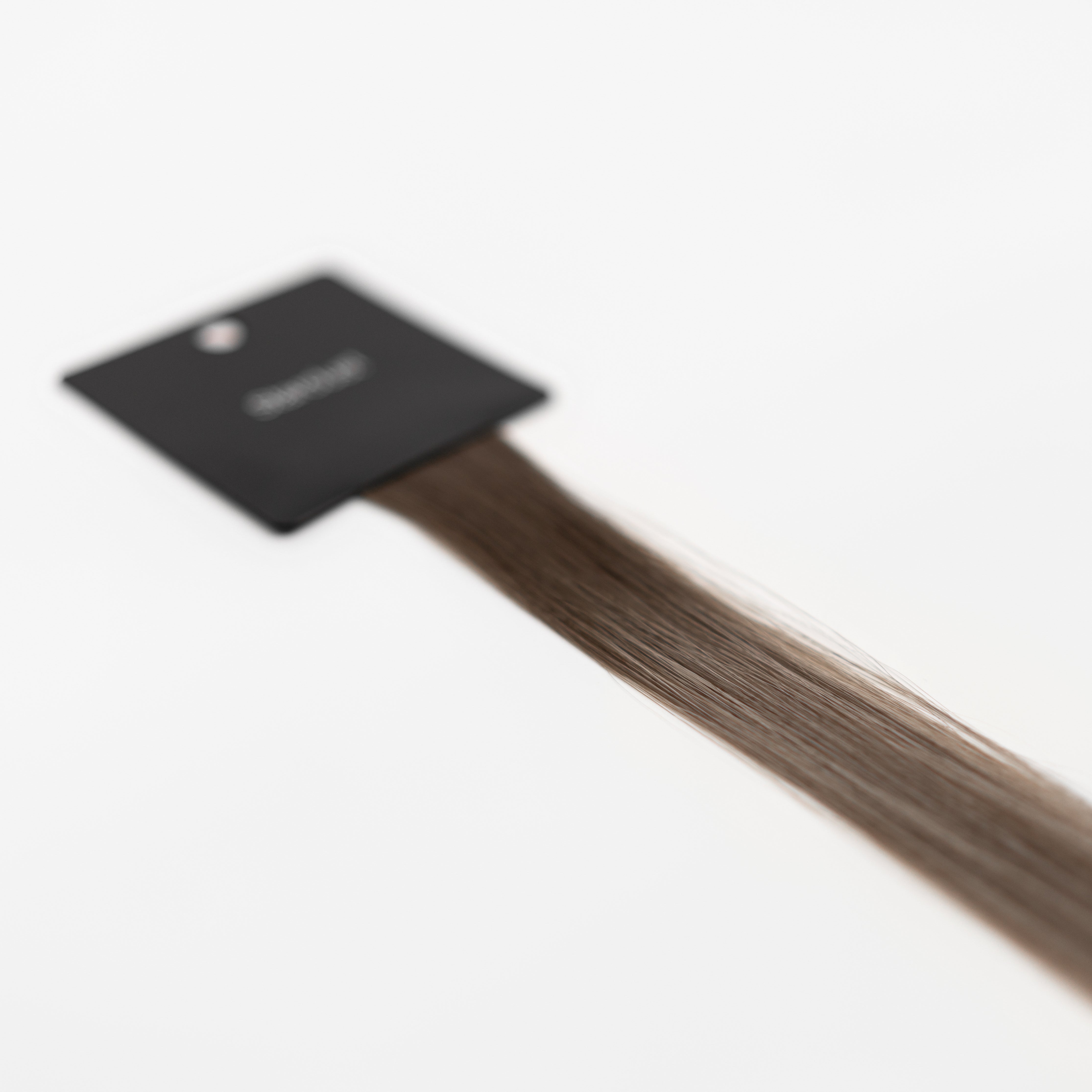 Bello Haven Swatch (Individual) - Stardust