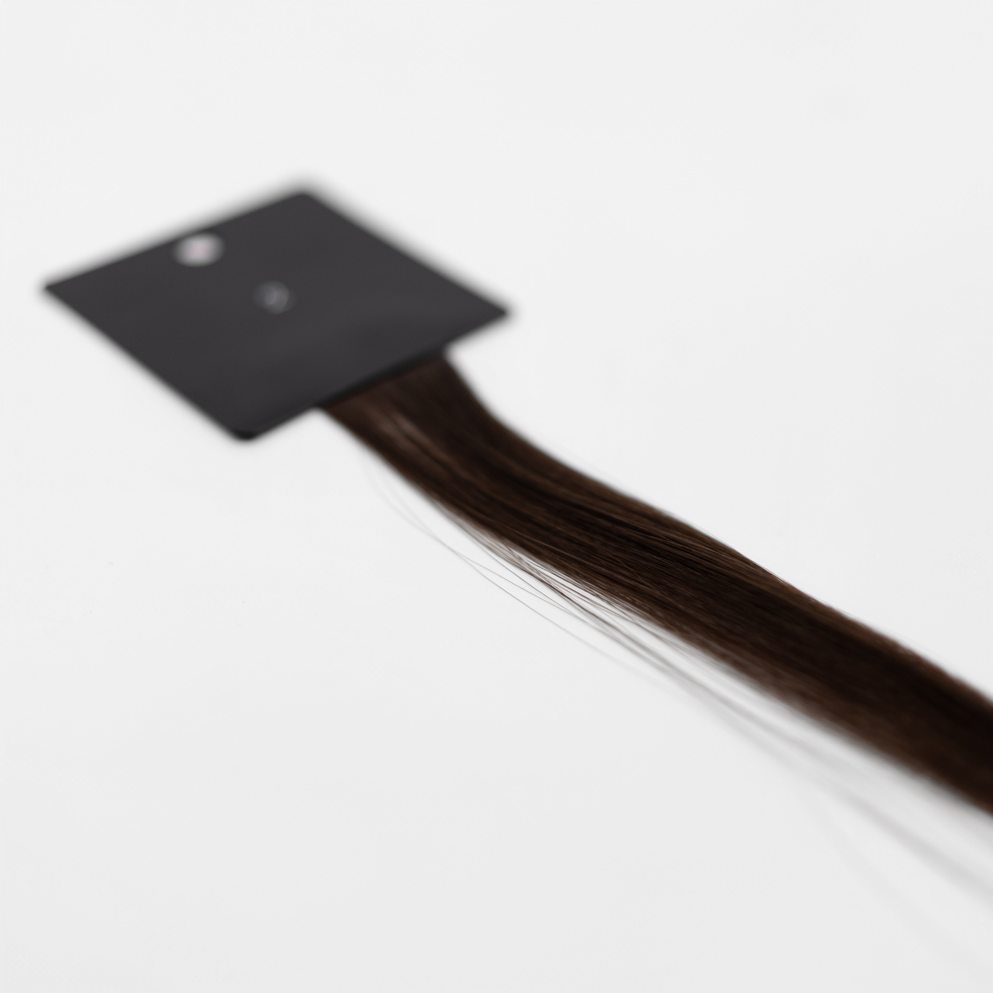 Bello Haven Swatch (Individual) - #2