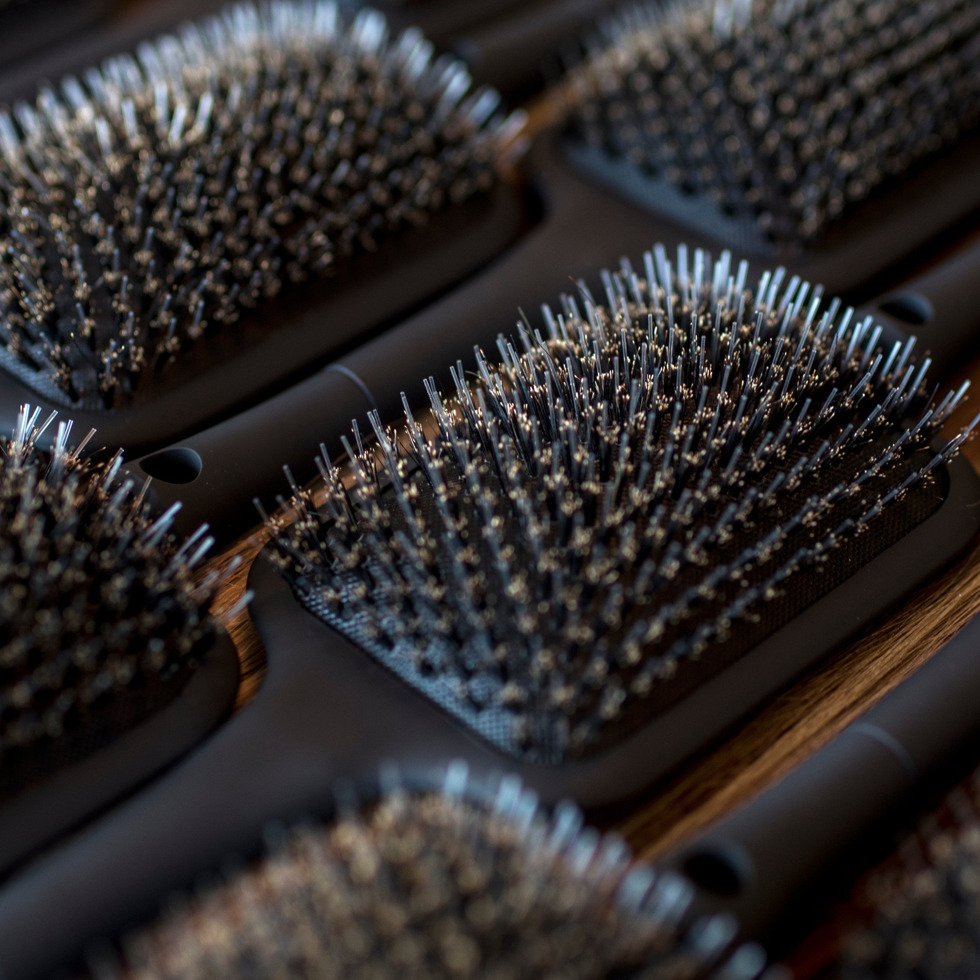 Bello Haven Dry Brush - BULK ORDER (15)